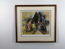 Belguim Shepherd - Brown Framed