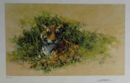Bengal Tiger - Framed