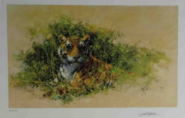 Bengal Tiger - Black Framed