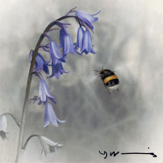 Bluebell - Buff Tail Bee - Original