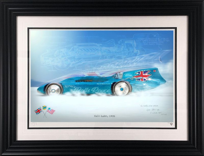 Bluebird - Black Framed