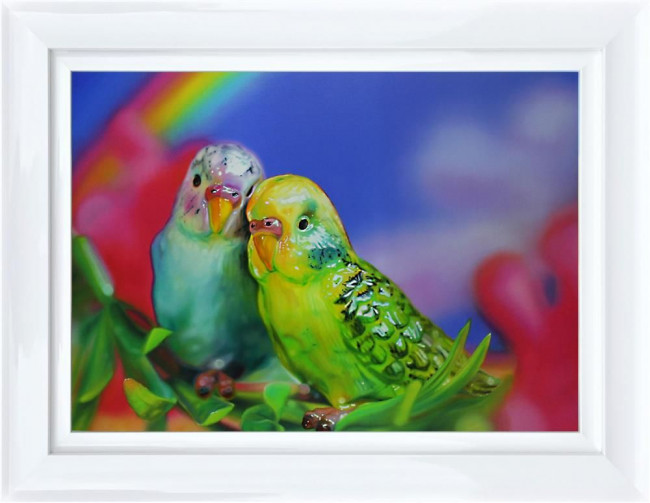 Budgie Love Budgie Love