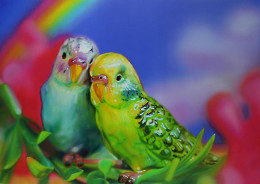 Budgie Love - Print only