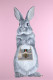 Bunny Girl - Gucci - Mounted