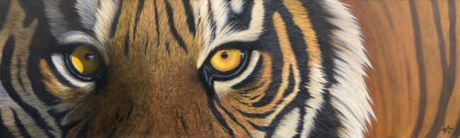 Cats Eyes Cats Eyes