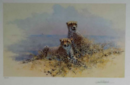 Cheetah - Framed