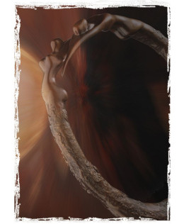 Circle Of Life - Picture - Framed
