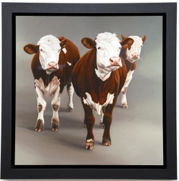 Cow Girls - Canvas - Black Framed - Framed Box Canvas