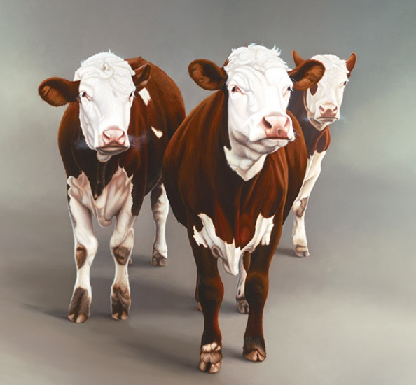 Cow Girls Cow Girls