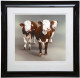 Cow Girls - Paper - Black Framed
