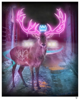 Deer In The Headlights - Mounted