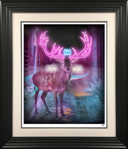 Deer In The Headlights - Framed