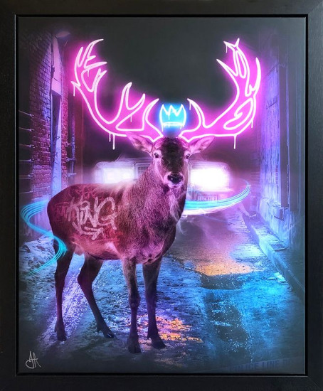 Deer In The Headlights