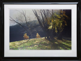 Depths Of Autumn - Black Framed