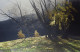 Depths Of Autumn - Mounted