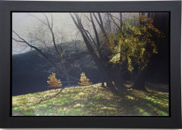 Depths Of Autumn - Canvas - Black Framed - Framed Box Canvas