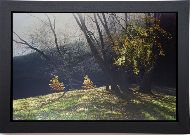 Depths Of Autumn - Canvas - Black Framed