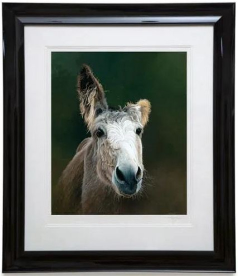 Des - Donkey - Black Framed