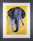 Designer Tusks - Framed