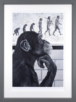 Devolution Of Evolution - Artist Proof Grey Framed