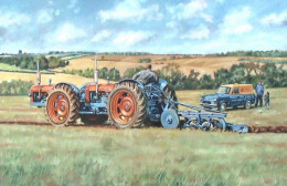 Doe Triple-D No.144 - Canvas Edition - Box Canvas