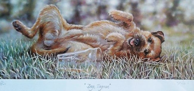 Dog Tagnan - Print Dog Tagnan - Print