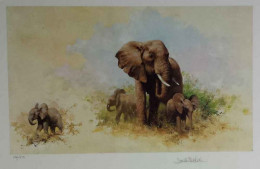 Elephant And Babies - Black Framed