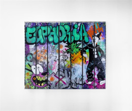 Euphoria Bandit - Original Panels - With Wall Fittings
