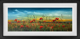 Evening Glow - Limited Edition - Black Framed