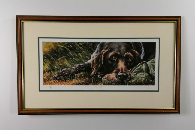 Ever Ready - Brown Framed Ever Ready - Brown Framed