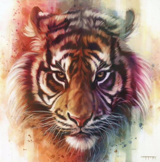 Eye Of The Tiger - On Canvas