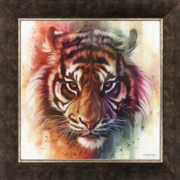 Eye Of The Tiger - On Canvas - Framed