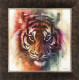 Eye Of The Tiger - On Canvas - Framed