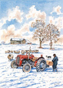 Feeding Sheep At Black Barn, Bures St. Mary - Print