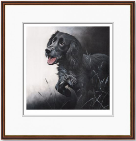 Field Sports - Cocker Spaniel - Framed