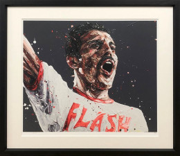 Flash - Black Framed