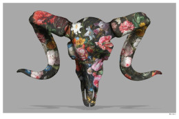 Floral Ram Skull (Grey Background) - Large - Mounted