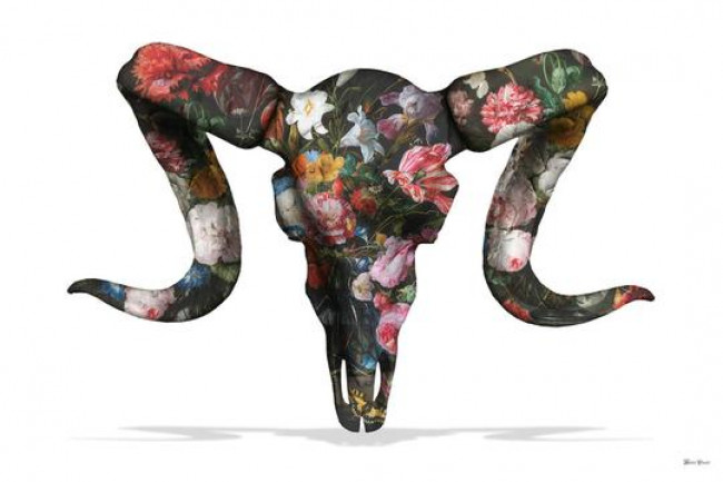 Floral Ram Skull (White Background) - Large 