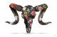 Floral Ram Skull (White Background) - Large - Mounted