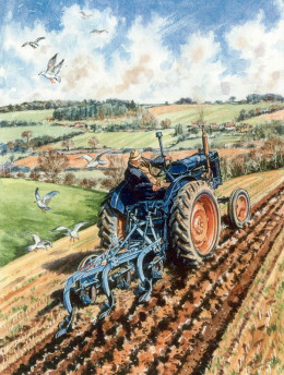 Fordson E27N Ploughing - Print