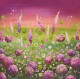 Fragile Passion - Limited Edition - Mounted
