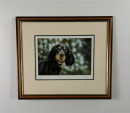 Gordon Grid - Brown Framed