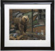 Grizzly - Framed