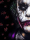 Heath Ledger - Joker - Mounted
