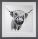 Highland Cow - Artist Proof Grey Framed