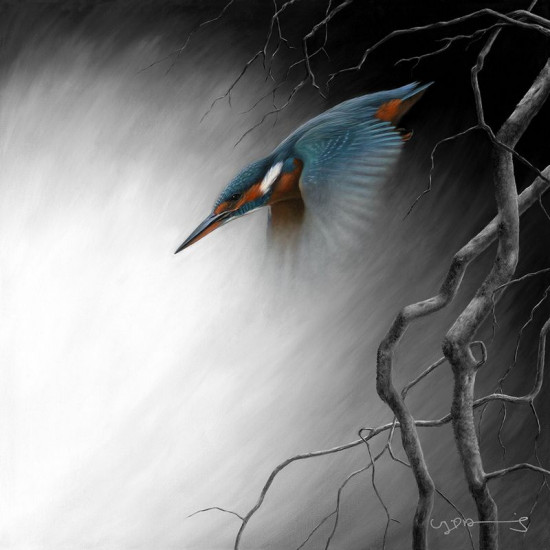 In Flight - Kingfisher - Original