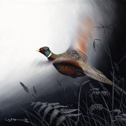 In Flight - Pheasant - Original - Framed