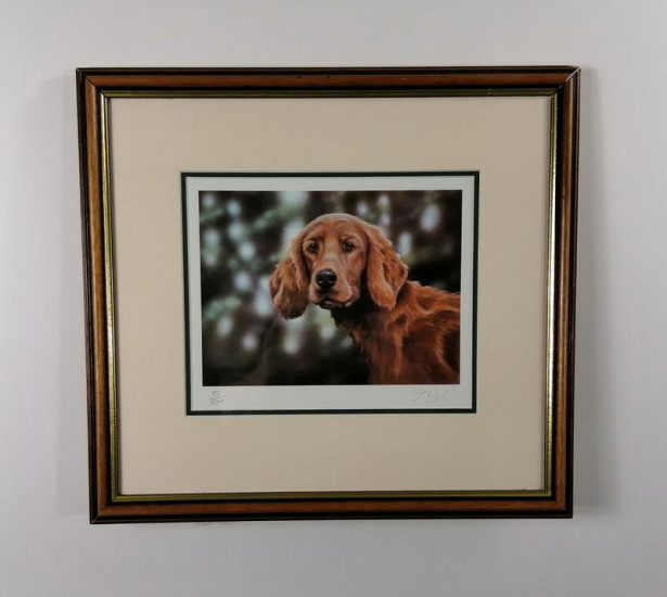 Irish Settler - Brown framed - Framed