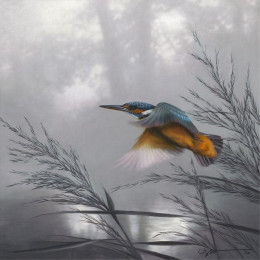 Taking Flight - Kingfisher - Original - Framed