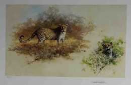 Leopards - Black Framed